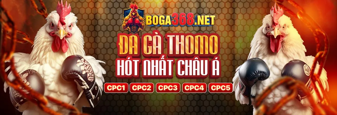 boss8 trang chủ chính thức - Nền tảng cá cược trực tuyến hàng đầu Việt Nam