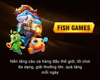 Tổng quan điều khoản dịch vụ